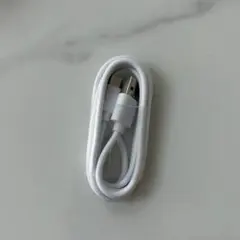 USB-A to USB-C 充電ケーブル ホワイト