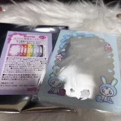 brrie 硬質カードケース水色