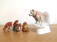 2026年最新】いきむ犬の人気アイテム - メルカリ
