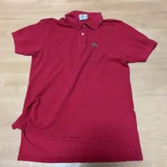Lacoste 赤 ポロシャツ