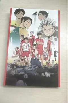 一番くじ ハイキュー G賞 ポストカードブック