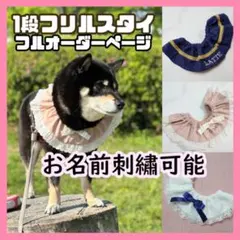 【1段フリルスタイオーダーページ】わんこの可愛い付け襟 おしゃれアクセサリー