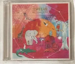 Mrs. GREEN APPLE TWELVE 初回限定盤 CD+DVD - メルカリ