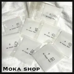 Item thumbnail for item 22b362a5-f889-4ef6-be62-6d47d4e6b139