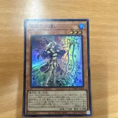 遊戯王 15枚セット