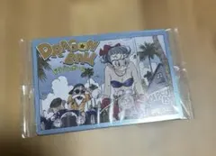 ドラゴンボール　イタジャガ　6-30 CR