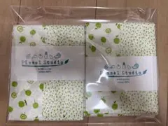 Pinsel Studio カットクロス リンゴ柄 緑2枚セット