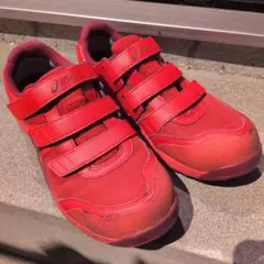 こー様専用です