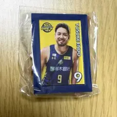 宇都宮ブレックス　ミニチュアアートイーゼル　遠藤祐亮