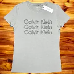 日本未入荷 カルバンクライン Calvin Klein Tシャツ S グレーのサムネイル