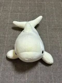 名古屋港水族館 シャチくじ 3等 白 アルビノ ぬいぐるみ