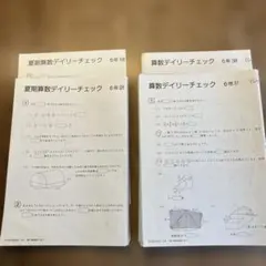 サピックス デイリーサピックス算数 2026年度受験 6年生 - メルカリ