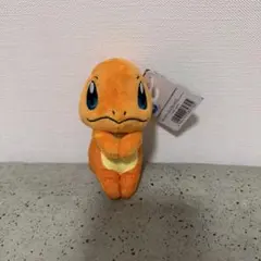 ポケットモンスター ヒトカゲ　 ぬいぐるみ