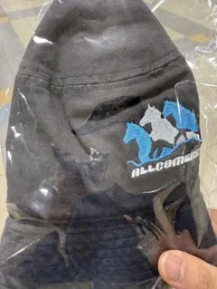 オールカマー　競馬　welcomeチャンス　バケットハット　グレー