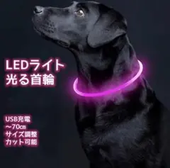【ペット用】大型犬用70cm　サイズ調整可能　LEDライト光る首輪　流れ光　赤
