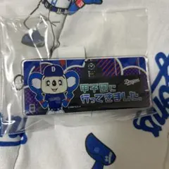 中日ドラゴンズ ドアラ 甲子園球場限定アクキー