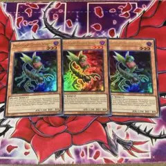 遊戯王　泰亜版　AES型番　捕食植物オフリス・スコーピオ　3枚セット　ウルトラ