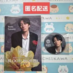 堂本光一 × ふぉ～ゆ〜 ジョイポリス 堂本光一さん 2点 - メルカリ