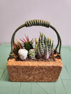 SORA♡今は購入専門です❤︎様 リクエスト 3点 まとめ商品