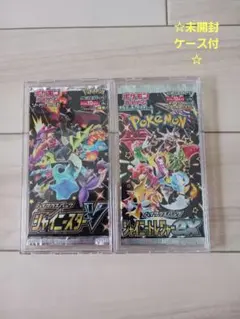 新品未開封☆「ポケモンカード　絶版　2パック セット　ケース付」☆