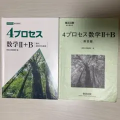 4プロセス数学II+B 問題集と解答のセット