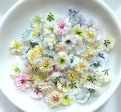 No,394☘️かすみ草のドライフラワー