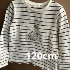 SLAP SLIP ボーダートップス　120cm