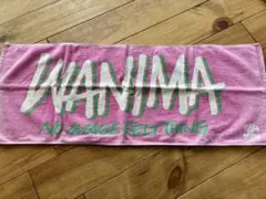 2026年最新】WANIMA タオル ピンクの人気アイテム - メルカリ