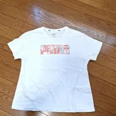 Item thumbnail for item 22728a8d-cdb9-41cb-86be-7d2ec7025e3b