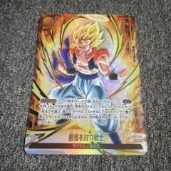 悪鬼を討つ戦士 SR⭐︎ FB09-096 - メルカリ