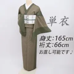 単衣 小紋＊長尺 塩沢お召し 子持ち縞模様 ベージュ 正絹 カジュアル 