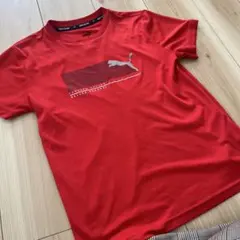 PUMA Tシャツ　150センチ