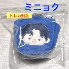 CNBLUE MINIBLUE PLUSH DOLL ミニョク - メルカリ