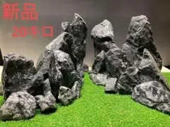 ADA龍王石 親石2つ　副石3つ ADA Review 「水景クリエイターへの挑戦状 〜龍王石編〜」 | AQUA