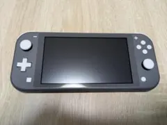 Nintendo Switch Lite グレー 本体