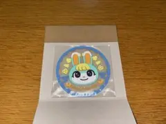 あつまれどうぶつの森 ミッチェルコースター