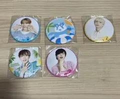 パンダドラゴン　たいが　缶バッジ 2025年最新】パンダドラゴン たいが 缶バッジの人気アイテム - メルカリ