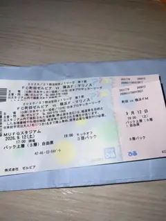 お急ぎで！FC町田ゼルビア vs 横浜F・マリノス 観戦チケット 9/12