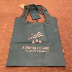 Item thumbnail for item fcce5854-b119-4513-9efb-24b6cad47fb4