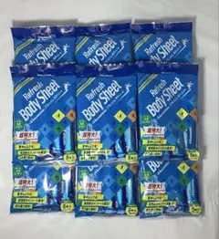Hisamitsu リフレッシュボディシート 5本入×9個 超大判汗拭きシート
