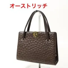 H7232-27◾️オーストリッチ　レザーハンドバッグ