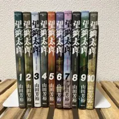 望郷太郎 1-14巻 全巻セット 漫画 山田芳裕 - メルカリ