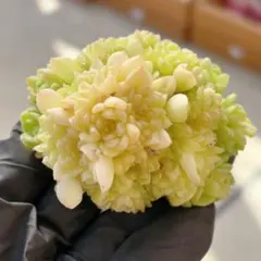 SORA♡今は購入専門です❤︎様 リクエスト 10点 まとめ商品