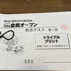 2026年最新】理英会 プリントの人気アイテム - メルカリ