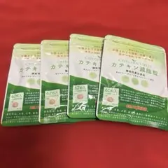 2026年最新】カテキン減脂粒 62粒の人気アイテム - メルカリ
