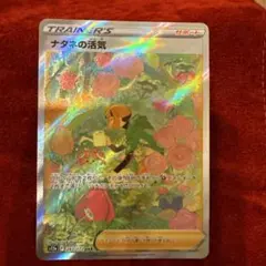 2025年最新】ナタネの活気 sarの人気アイテム - メルカリ