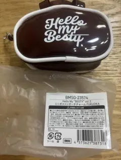 Hello My BESTY ミニボストン 宮城 - メルカリ