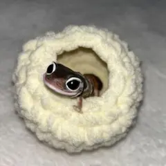 やもちぐら 単 アイボリー
