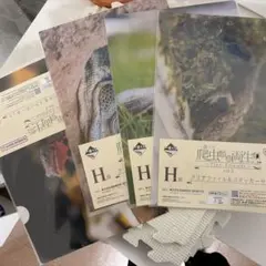 一番くじ 爬虫類＆両生類 vol.3 H賞 クリアファイル＆ステッカー
