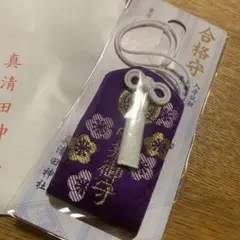 Item thumbnail for item 412e9d93-5bb6-4cf9-a4e4-70eddb1b1af3